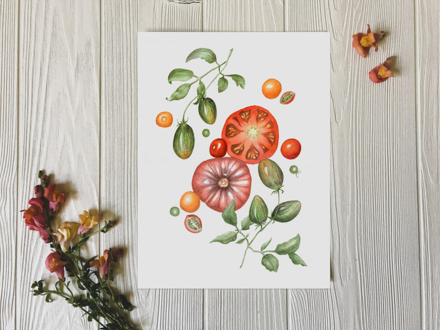 Summer Splendor tomatoes art print on white background