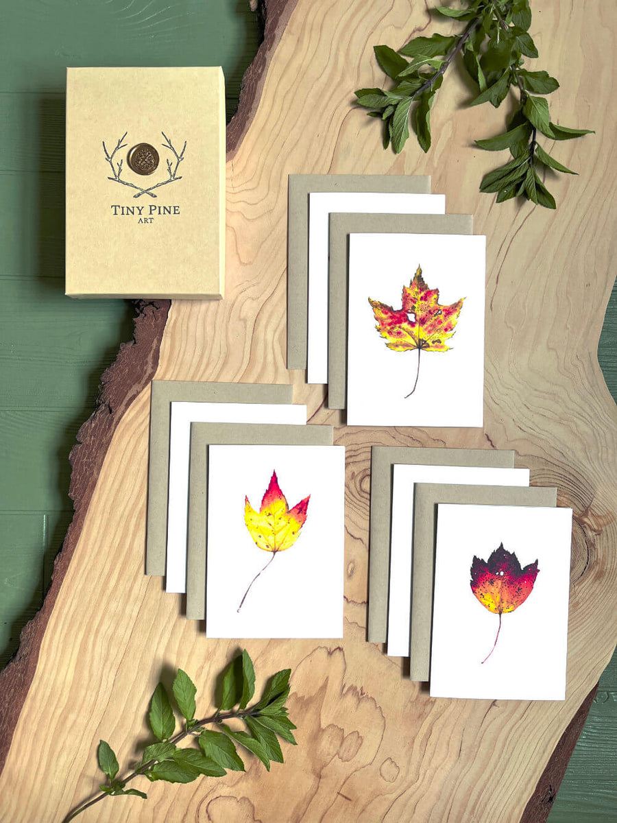 Autumn Leaves Notecard Set