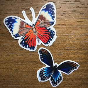 Orange Butterfly Sticker - Eco-Friendly
