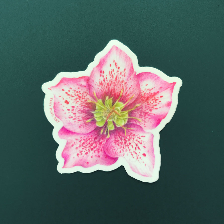 Hellebore Sticker - Eco-Friendly
