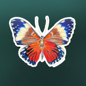 Orange Butterfly Sticker - Eco-Friendly