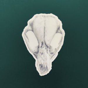 Skull Sticker - Eco-Friendly