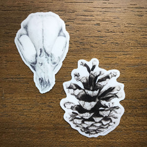 Skull Sticker - Eco-Friendly