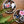Load image into Gallery viewer, Skull Sticker - Eco-Friendly
