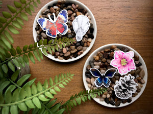 Pinecone Sticker - Eco-Friendly