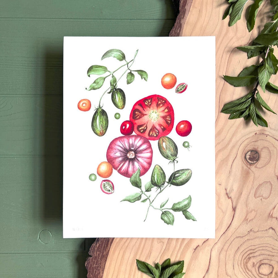 Summer Splendor - Limited Edition Print