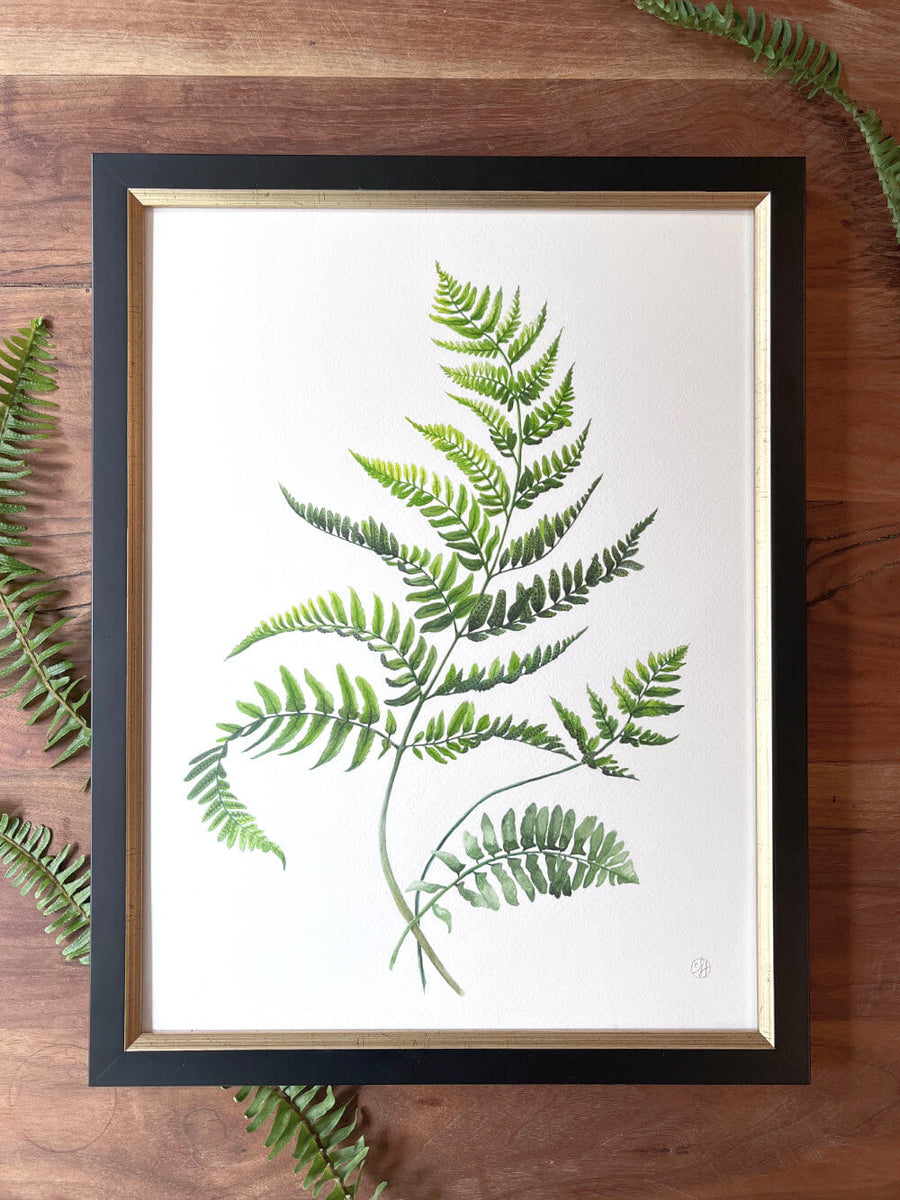 Unfurling Ferns 1 | Original Painting
