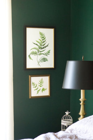 Unfurling Ferns 1 | Original Painting