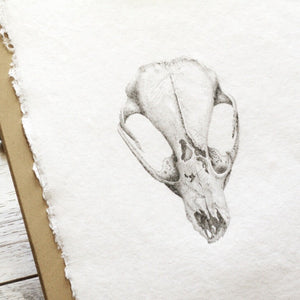 Unknown Skull Print